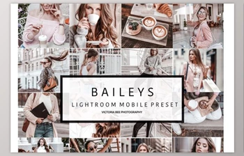 Download NEW! Mobile <span class='badge badge-warning'>Lightroom</span> Preset BAILEYS (<span class='badge badge-warning'>DNG</span>, JPG)