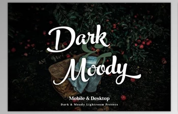 Download <span class='badge badge-warning'>Dark</span> & Moody Lightroom Presets CreativeMarket 2967965