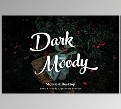 Download Dark & Moody Lightroom Presets CreativeMarket 2967965