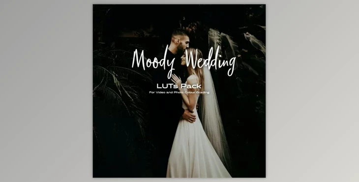 Download Moody Wedding LUTs pack