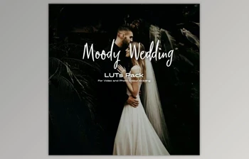 Download Moody Wedding LUTs <span class='badge badge-warning'>pack</span>
