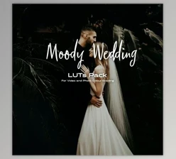 Download Moody Wedding LUTs pack