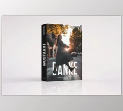 Download Danke – Urban Fashion XMP Preset 6474246