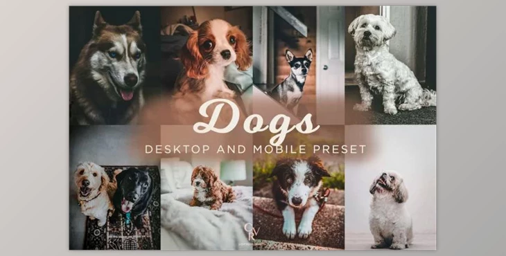 Download 8 Dogs Lightroom Presets 6278930 (Mob, Desk)