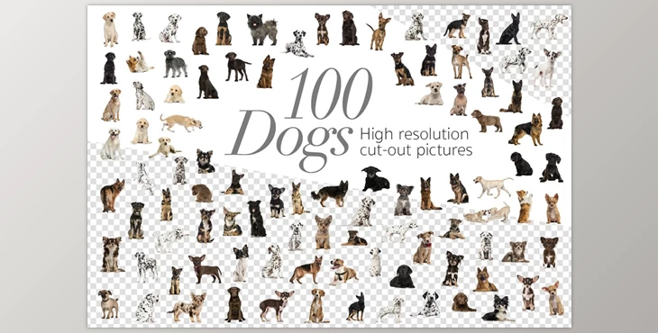 Download 100 Dogs Bundle – Cut-out Pictures – CreativeMarket 2042414 (PNG)