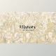Download Century History - History Timeline (Videohive 34482918) - AE Project