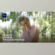 Download Light Lines Transitions (Videohive 34361466) - PR Project