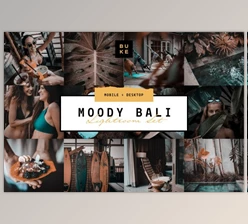 Download MOODY BALI TRAVEL LIGHTROOM PRESETS (Mob, Desk)
