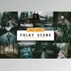Download 5 Folk Moody Lightroom Presets Pack