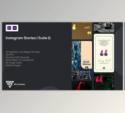 Download Instagram Stories | Quotes | Suite 11 | MOGRT (Videohive 34419229)