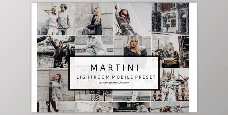 Download Mobile Lightroom Preset MARTINI (DNG)