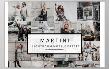 Download Mobile <span class='badge badge-warning'>Lightroom</span> Preset MARTINI (<span class='badge badge-warning'>DNG</span>)