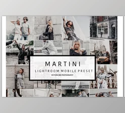 Download Mobile Lightroom Preset MARTINI (DNG)