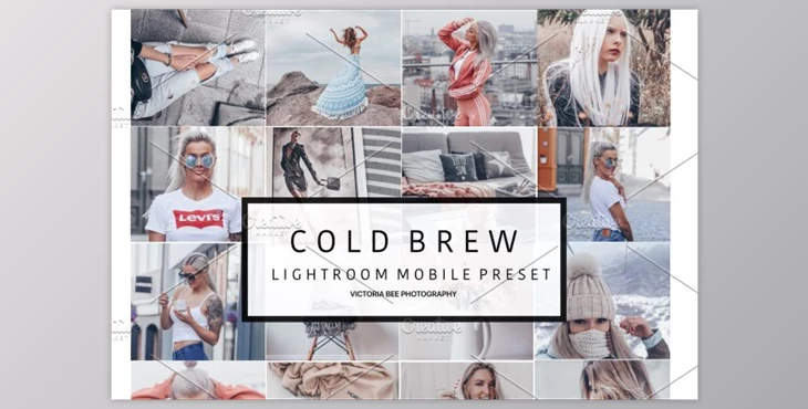 Download Mobile Lightroom Preset COLD BREW (DNG, Zip)