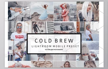 Download Mobile <span class='badge badge-warning'>Lightroom</span> Preset COLD BREW (<span class='badge badge-warning'>DNG</span>, Zip)