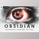 Download OBSIDIAN Charcoal Photoshop Actions (JPG, ATN, PDF)