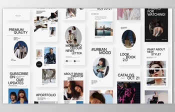Download <span class='badge badge-warning'>Swan</span> - Stories Pack (Videohive 34629581) - AE Project