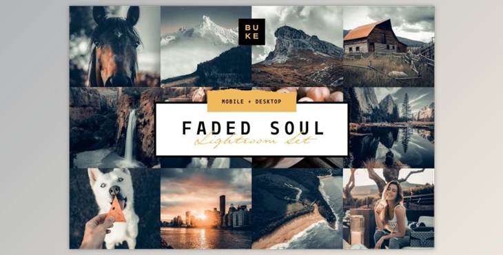 Download Faded Soul Lightroom Preset (Mob, Desk)