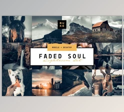 Download Faded Soul Lightroom Preset (Mob, Desk)