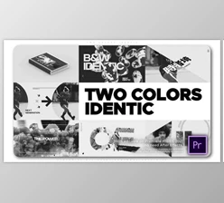Download Two Colors Identic (Videohive 34511192)