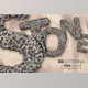 Download Porous Stone 3D Letters