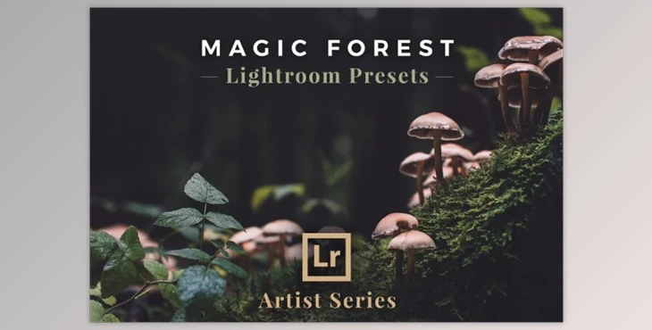 Download Magic Forest – Lightroom Presets (Artist Series)