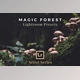 Download Magic Forest – Lightroom Presets (Artist Series)