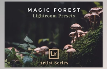 Download Magic Forest – Lightroom Presets (<span class='badge badge-warning'>Artist</span> Series)
