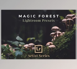 Download Magic Forest – Lightroom Presets (Artist Series)