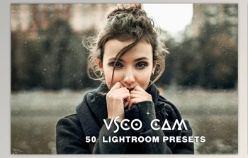 Download Vsco <span class='badge badge-warning'>Cam</span> Lightroom Presets Creativemarket 2778570