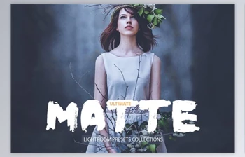 Download <span class='badge badge-warning'>Ultimate</span> Matte Lightroom Presets CreativeMarket 1590268
