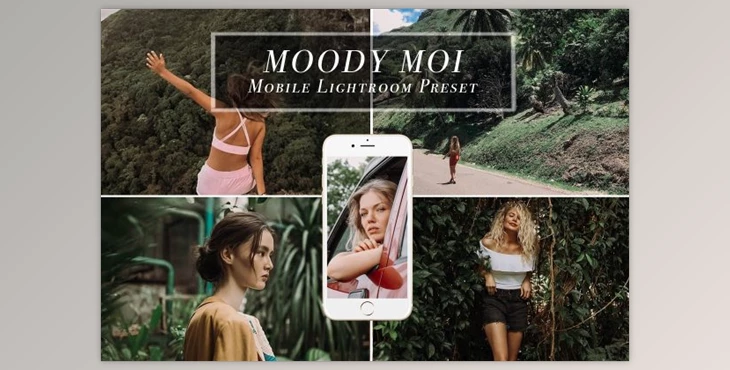 Download Mobile Lightroom Preset MOODY MOI CreativeMarket 3613902