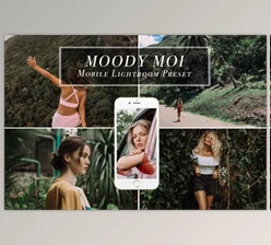 Download Mobile Lightroom Preset MOODY MOI CreativeMarket 3613902