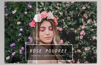 Download Desktop Lightroom Presets <span class='badge badge-warning'>ROSE</span> - CreativeMarket 3628869
