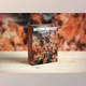 Download Autumn Vibrant Lightroom Presets 6520810 (Mob, Desk)