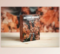 Download Autumn Vibrant Lightroom Presets 6520810 (Mob, Desk)