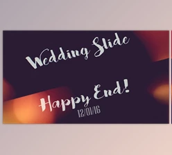 Download Wedding Slide (Videohive 14499075) - AE Project