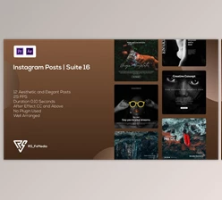 Download Instagram Posts | Clean Landing Intro | Suite 16 | MOGRT (Videohive 34663214)