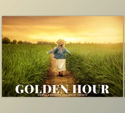 Download Golden Hour Lightroom Presets (Mob, Desk)