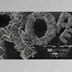 Download Grey Rope Pile 3D Letters (PNG)
