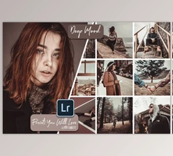 Download Deep Mood Lightroom Presets (Mob, Desk)