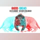 Download Red blue Double exposure Action