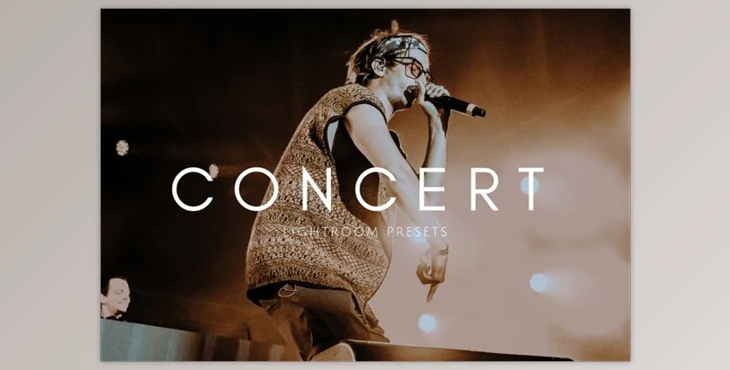 Download Cinematic Moody Concert LR Presets (lrtemplate, dng)