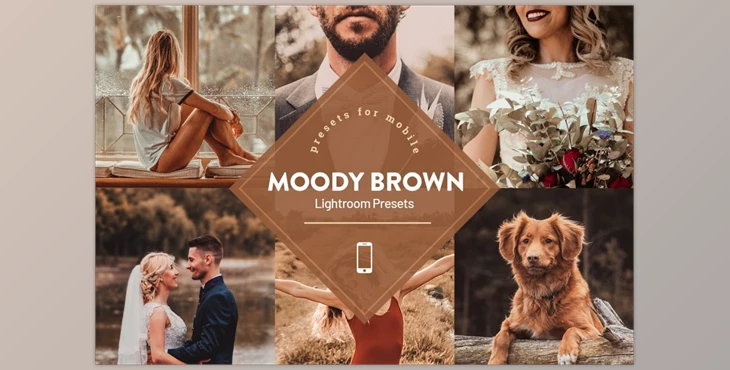 Download Moody Brown Lightroom Preset CreativeMarket 4593839