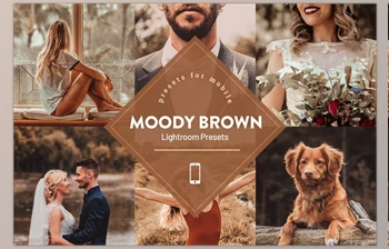 Download <span class='badge badge-warning'>Moody</span> Brown <span class='badge badge-warning'>Lightroom</span> Preset CreativeMarket 4593839