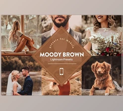 Download Moody Brown Lightroom Preset CreativeMarket 4593839