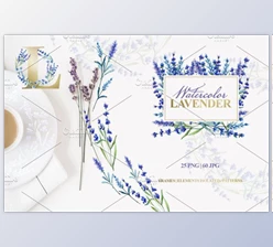 Download Watercolor lavender PNG JPG set Creativemarket 3974558