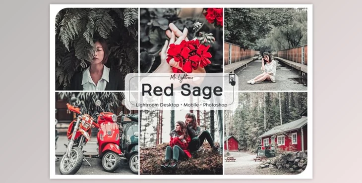 Download Red Sage Lightroom Presets (Mob, Desk)