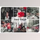 Download Red Sage Lightroom Presets (Mob, Desk)