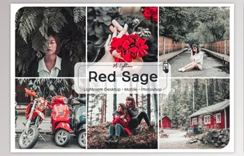 Download Red <span class='badge badge-warning'>Sage</span> Lightroom Presets (Mob, Desk)